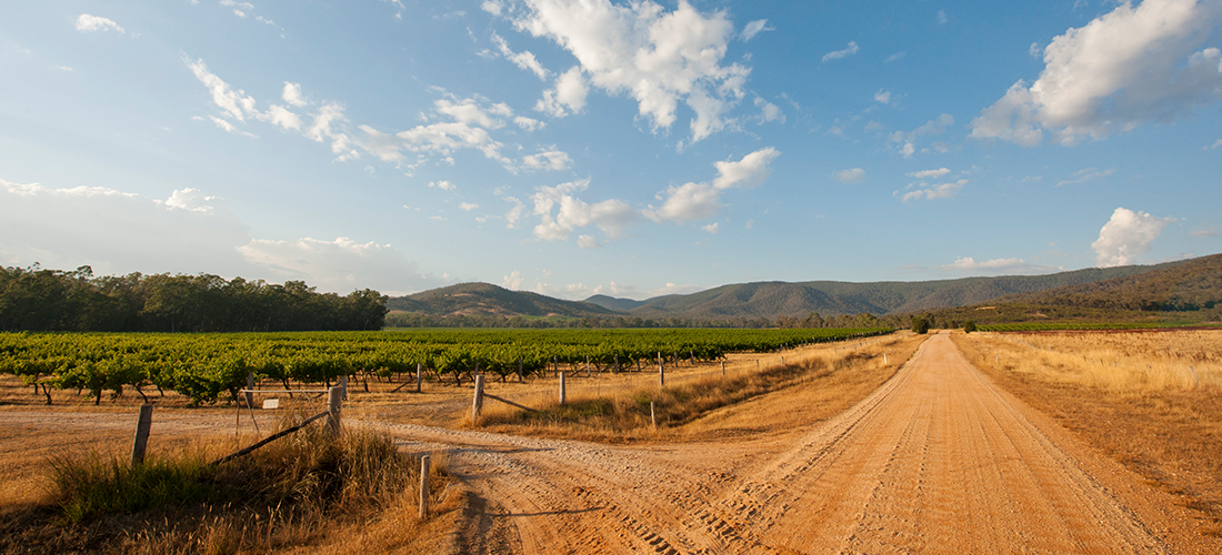 Blue Pyrenees Estate